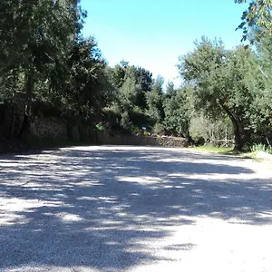https://hotel-santelene.in-sardinia.net